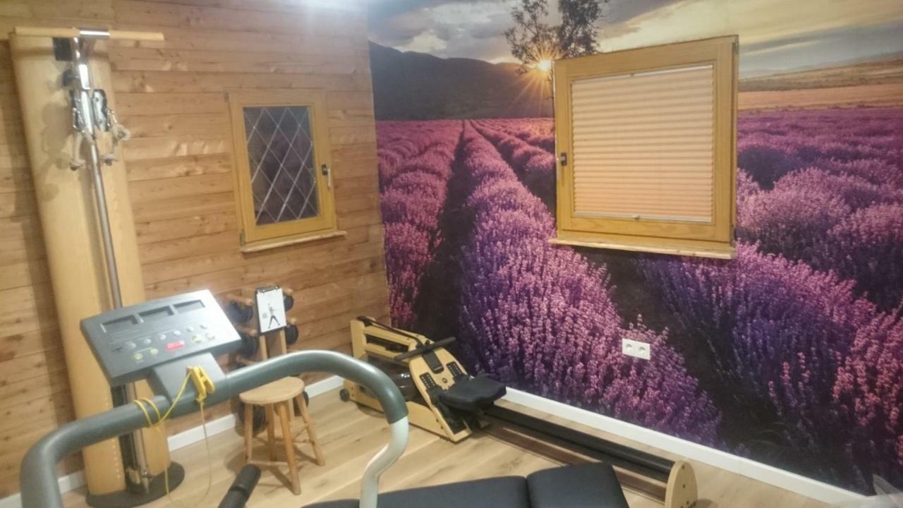 Eifelyeti Apartment Ellscheid